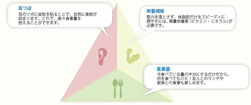 耳つぼ、栄養補給、食事量の相乗効果
