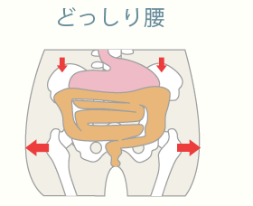 どっしり腰